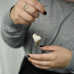 Shark Teeth