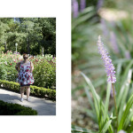 Real Jardín Botánico Madrid