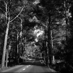 Mallorca Photo Diary II