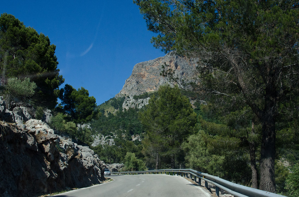 Palma by summer