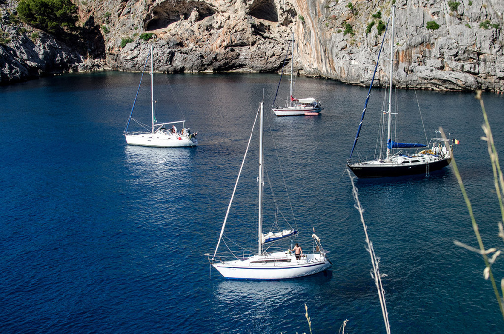 Palma by summer