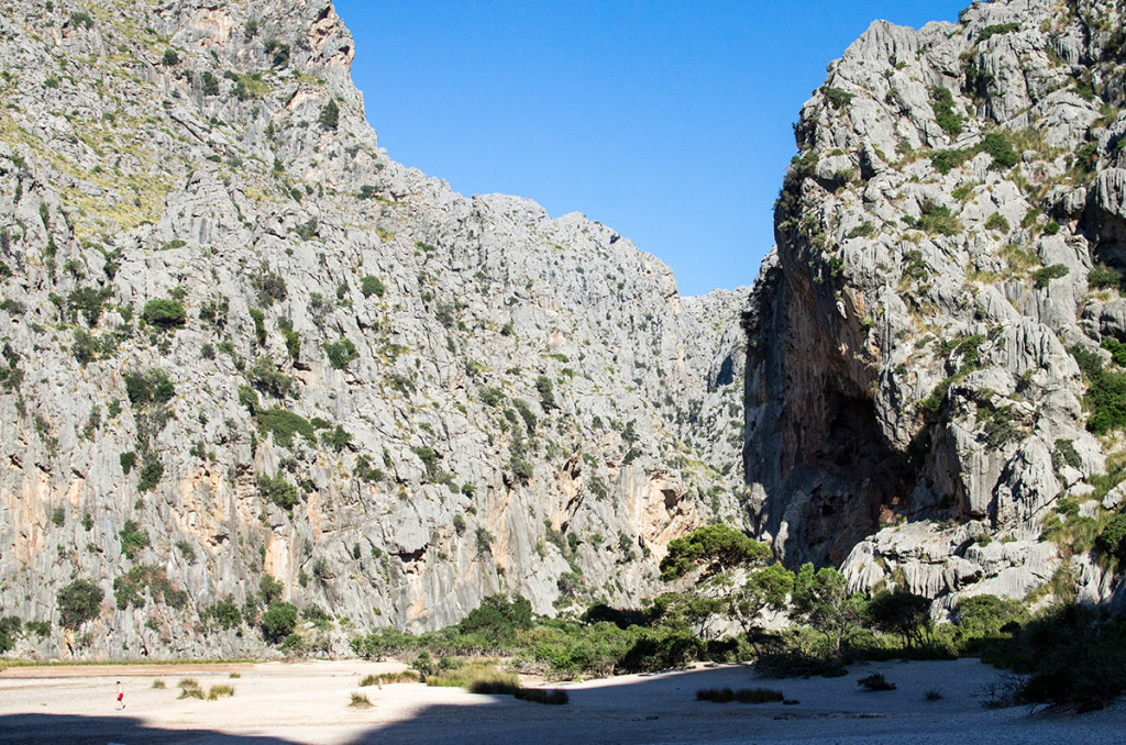 Palma by summer